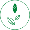 Herbal Product